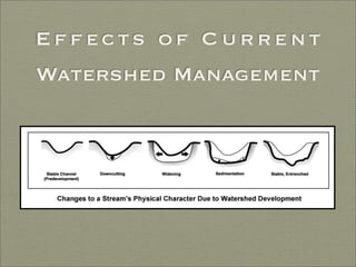 Finding Water Through Rain