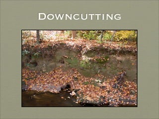 Finding Water Through Rain