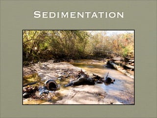 Finding Water Through Rain