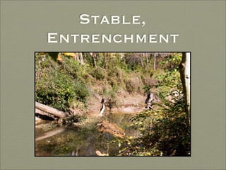 Finding Water Through Rain