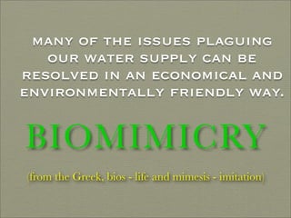 Finding Water Through Rain