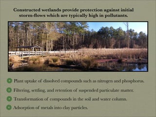 Finding Water Through Rain