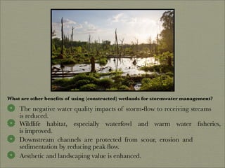 Finding Water Through Rain