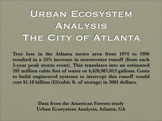 Finding Water Through Rain