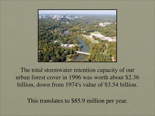 Finding Water Through Rain