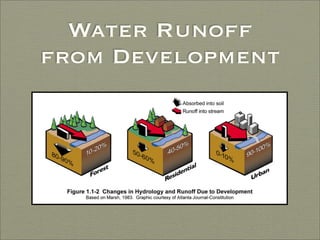 Finding Water Through Rain