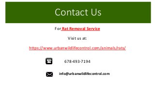 Contact Us
For Rat Removal Service
Visit us at:
https://www.urbanwildlifecontrol.com/animals/rats/
678-493-7194
info@urbanwildlifecontrol.com
 