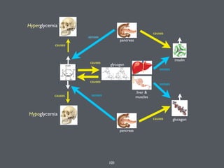 101
senses
pancreas
senses
liver &
muscles
causes
glycogen
causes
Hyperglycemia
pancreas
senses
glucagoncauses
senses
causes
insulin
causes
Hypoglycemia
causes
 