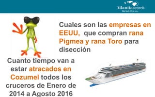 Cuales son las empresas en
EEUU, que compran rana
Pigmea y rana Toro para
disección

Cuanto tiempo van a
estar atracados en
Cozumel todos los
cruceros de Enero de
2014 a Agosto 2016

 