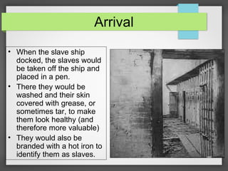 Arrival
• When the slave ship
docked, the slaves would
be taken off the ship and
placed in a pen.
• There they would be
washed and their skin
covered with grease, or
sometimes tar, to make
them look healthy (and
therefore more valuable)
• They would also be
branded with a hot iron to
identify them as slaves.

 