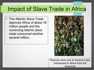 Impact of Slave Trade in Africa
• The Atlantic Slave Trade
deprived Africa of about 16
million people and the
continuing Islamic slave
trade consumed another
several million.

Peanuts were one of several crops
introduced to Africa from the
Americas

 