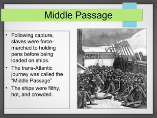 Middle Passage
• Following capture,
slaves were forcemarched to holding
pens before being
loaded on ships.
• The trans-Atlantic
journey was called the
“Middle Passage”
• The ships were filthy,
hot, and crowded.

 