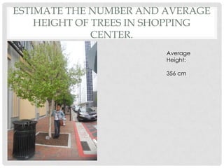 Estimate the number and average height of trees in shopping center. Average Height: 356 cm