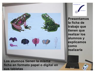 La cámara de documentos en el aula