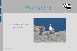 Finistère
MAI 2013
3
L'emblématique
goëland...