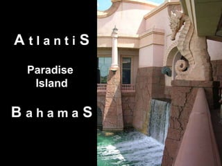 A  t l a n t i  S Paradise  Island B  a h a m a  S 