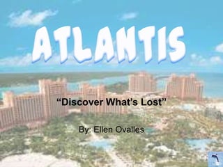 “Discover What’s Lost”

    By: Ellen Ovalles
 
