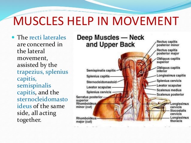 Movement In The Round - Movement In The Round Movement In The Round - Movement In The Round