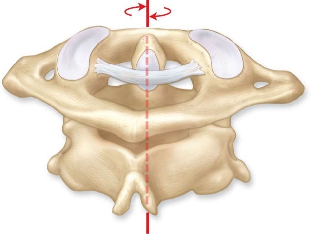 Image result for atlantoaxial joint movement