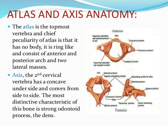 atlantoaxial joint