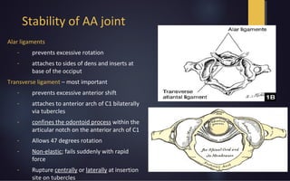 Stability of AA joint
Alar ligaments
- prevents excessive rotation
- attaches to sides of dens and inserts at
base of the occiput
Transverse ligament – most important
- prevents excessive anterior shift
- attaches to anterior arch of C1 bilaterally
via tubercles
- confines the odontoid process within the
articular notch on the anterior arch of C1
- Allows 47 degrees rotation
- Non-elastic; fails suddenly with rapid
force
- Rupture centrally or laterally at insertion
site on tubercles
 