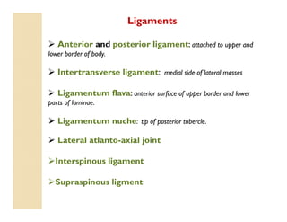 Ligaments
 Anterior and posterior ligament: attached to upper and
lower border of body.
 Intertransverse ligament: medial side of lateral masses
 Ligamentum flava: anterior surface of upper border and lower
parts of laminae.
 Ligamentum nuche: tip of posterior tubercle.
 Lateral atlanto-axial joint
Interspinous ligament
Supraspinous ligment
 