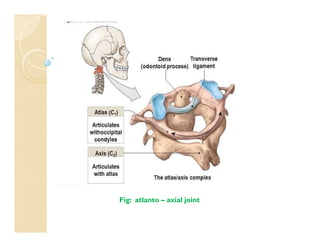 Fig: atlanto – axial joint
 