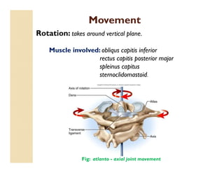 Movement
Rotation: takes around vertical plane.
Muscle involved: obliqus capitis inferior
rectus capitis posterior major
spleinus capitus
sternoclidomastoid.
Fig: atlanto - axial joint movement
 