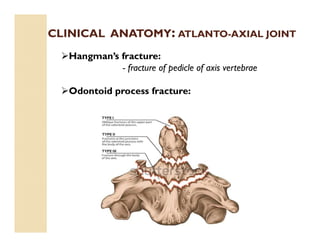 CLINICAL ANATOMY: ATLANTO-AXIAL JOINT
Hangman’s fracture:
- fracture of pedicle of axis vertebrae
Odontoid process fracture:
 