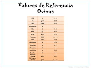 Valores de Referencia
       Ovinos
        HTO          %      27-45
         Hb         g/dl     9-15
        RBC         x10^6    9-15
    Reticulocitos    %
        VCM          fL     28-40
        MCH          Pg      8-12
       MCHC         g/dl    31-34
     Plaquetas      x10^5   2.5-7.5
        WBC         x10^3    4-12
    Neutrofilos      %      10-50
     Linfocitos      %      40-75
     Monocitos       %       0-6
     Eosinofilos     %       0-10
      Basofilos      %       0-3
     Proteinas
       Plasma       g/dl    6-7.5
    Fibrinogeno
       Plasma       g/dl    0.1-0.5




                                      http://www.merckvetmanual.com/mvm/index.jsp
 