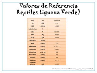 Valores de Referencia
Reptiles (iguana Verde)
        HTO           l/l        0,25-0,38
         Hb           g/dl           6-10
        RBC         x10^2/l        1.0-1.9
    Reticulocitos      %
        VCM            fL         165-305
        MCH           Pg            48-78
       MCHC           g/dl          20-38
     Plaquetas       x10^5
        WBC         x10^9/l          3-10
    Heterófilos     x10^9/l       0,35-5,2
     Azurófilos     x10^9/l        0,0-1,7
     Monocitos      x 10^9/l         0-1
     Eosinofilos    x10^9/l          0-1
     Basofilos      x10^9/l          0-1
     Linfocitos     x10^9/l         1-5,5
     Proteínas
      plasma          g/dl         0.1-0.5


                               http://www.amasquefa.com/uploads/87._Hematolog_a_y_bioqu_mica_en_reptiles699.pdf
 