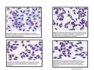 Medicina aviaria;Samour, J
 