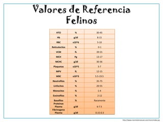 Valores de Referencia
       Felinos
        HTO          %       30-45
         Hb         g/dl      8-15
        RBC         x10^6     5-10
    Reticulocitos    %         0-1
        VCM          fL      39-55
        MCH          Pg      13-17
       MCHC         g/dl     30-36
     Plaquetas      x10^5      3-7
        MPV          fL      12-15
        WBC         x10^3   5.5-19.5
    Neutrofilos      %       35-75
     Linfocitos      %       20-55
     Monocitos       %         1-4
     Eosinofilos     %        2-12
      Basofilos      %      Raramente
     Proteinas
       Plasma       g/dl      6-7.5
    Fibrinogeno
       Plasma       g/dl     0.15-0.3

                                        http://www.merckvetmanual.com/mvm/index.jsp
 