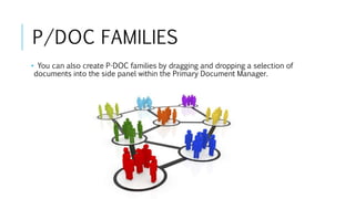 P/DOC FAMILIES
• You can also create P-DOC families by dragging and dropping a selection of
documents into the side panel within the Primary Document Manager.
 