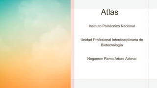 Atlas
Instituto Politécnico Nacional
Unidad Profesional Interdisciplinaria de
Biotecnología
Nogueron Romo Arturo Adonai
 