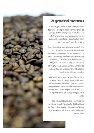 Agradecimentos
 A construção deste Atlas é o resultado da
dedicação e empenho dos proﬁssionais do
 Serviço de Microscopia de Produtos. Este
 trabalho não teria sido possível sem a ex-
 periência acumulada e as reﬂexões feitas
            pelo corpo técnico do Serviço.

 Somos muito gratos à Denise Maria Trom-
     bert do Departamento de Botânica da
 Universidade Federal de Minas Gerais, Gi-
 sélia Campos do Núcleo Global de Análise
  e Pesquisa, Flávio Silveira do SINDICAFÉ/
   MG, Gina Maria Bueno Quirino Cardozo
do CCQA/ITAL e Marize Silva de Oliveira do
  Laboratório de Micotoxinas e Micologia/
             Funed pelas valiosas revisões.

  Obrigada Almir José da Silva Filho e Este-
   la Mara Costa Arthuso, proprietários das
  fazendas Ervália e Bento, por permi rem
 o registro em fotos de toda cadeia produ-
   va do café. Ao Rodrigo Cardoso de Araú-
   jo agradecemos pela diagramação deste
                                      Atlas.

    Por ﬁm, agradecemos à Fapemig pelo
 apoio ao projeto “Avaliação da Qualidade
do Café: microscopia, microbió ca fúngica
 e ocratoxinas” e à Anvisa pela publicação
                               deste Atlas.
 