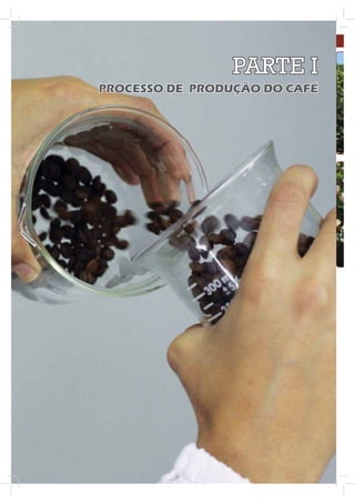 PARTE I
PROCESSO DE PRODUÇÃO DO CAFÉ
 
