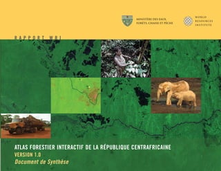 MINISTÈRE DES EAUX,
                                             Forêts, chasse et PêCHE




R A P P O R T   W R I




ATLAS FORESTIER INTERACTIF DE LA RÉPUBLIQUE CENTRAFRICAINE
VERSION 1.0
Document de Synthèse
 