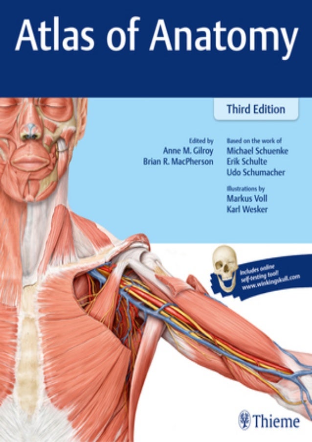 Atlas of Anatomy By Anne M. Gilroy Full Online