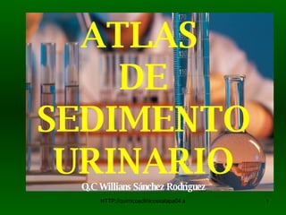 ATLAS  DE   SEDIMENTO URINARIO Q.C Willians Sánchez Rodríguez 