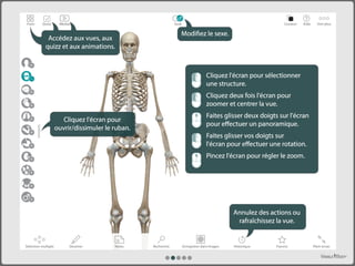 L'Atlas d'anatomie humaine de Visible Body (PC/Mac)