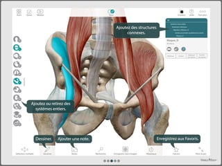 L'Atlas d'anatomie humaine de Visible Body (PC/Mac)