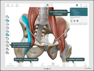  Atlas der menschlichen Anatomie für PC/Mac