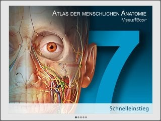 Atlas der menschlichen Anatomie für Online-Version