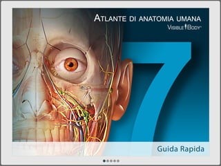 Atlante di anatomia umana per PC/Mac