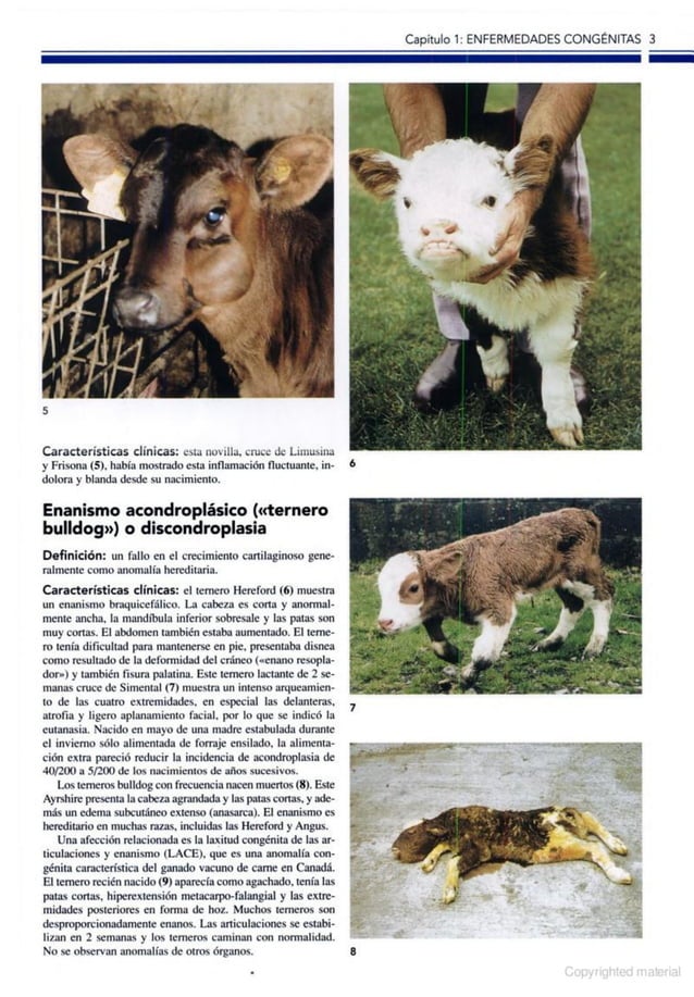 Atlas a color de enfermedades y trastornos del ganado vacuno, 2ed PDF