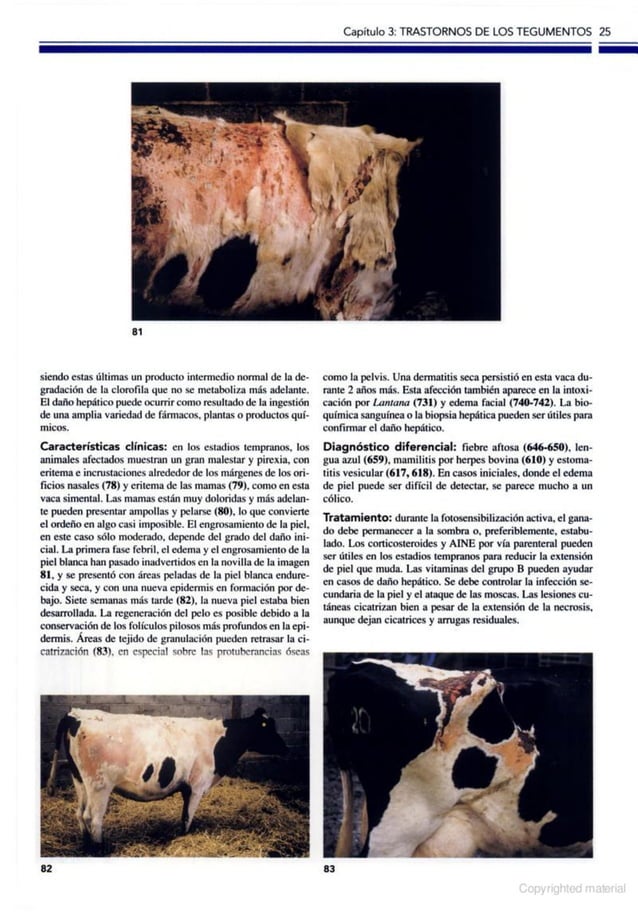 Atlas a color de enfermedades y trastornos del ganado vacuno, 2ed