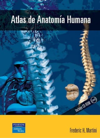 Atlas anatomia humana.pdf