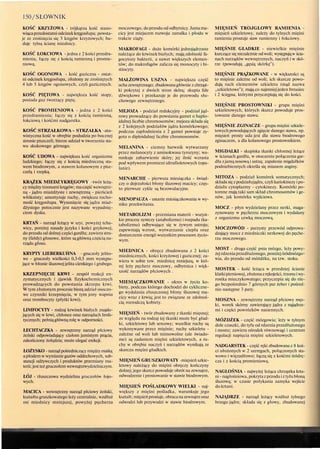 150/SŁOWNIK
KOŚĆ KRZYŻOWA - trójkątna kość stano-
wiącaprzedostatni odcinekkręgosłupa; powsta-
je ze zrośnięcia się 5 kręgów krzyżowych; bu-
duje tylną ścianę miednicy.
KOŚĆ ŁOKCIOWA - jedna z 2 kości przedra-
mienia, łączy się z kością ramienną i promie-
niową.
KOŚĆ OGONOWA - kość guziczna - ostat-
ni odcinek kręgosłupa, złożony ze zrośniętych
4 lub 5 kręgów ogonowych, czyli guzicznych.
KOŚĆ PIĘTOWA - największa kość stopy,
posiada guz tworzący piętę.
KOŚĆ PROMIENIOWA - jedna z 2 kości
przedramienia; łączy się z kością ramienną,
łokciową i kośćmi nadgarstka.
KOŚĆ STRZAŁKOWA - STRZAŁKA ata-
wistyczna kość w obrębie podudzia po bocznej
stronie piszczeli; bierze udział w tworzeniu sta-
wu skokowego górnego.
KOŚĆ UDOWA - największa kość organizmu
ludzkiego; łączy się z kością miedniczną sta-
wem biodrowym, a stawem kolanowym z pisz-
czelą i rzepką.
KRĄŻEK MIEDZYKRĘGOWY twór leżą-
cy między trzonami kręgów; ma część wewnętrz-
ną - jądro miażdżyste i zewnętrzną - pierścień
włóknisty; amortyzuje ruchy, zwiększa rucho-
mość kręgosłupa. Wysunięcie się jądra miaż-
dżystego potocznie jest nazywane wypadnię-
ciem dysku.
KRTAŃ - narząd leżący w szyi, powyżej tcha-
wicy, poniżej nasady języka i kości gnykowej,
do przodu od dolnej części gardła; zawiera stru-
ny (fałdy) głosowe, które są główną częścią na-
rządu głosu.
KRYPTY LIEBERKUHNA gruczoły jelito-
we - gruczoły wielkości 0,3-0,5 mm występu-
jące w błonie śluzowej jelita cienkiego i grubego.
KRZEPNIĘCIE KRWI - zespół reakcji en-
zymatycznych i zjawisk fizykochemicznych
prowadzących do powstania skrzepu krwi.
W tym złożonym procesie biorą udział osoczo-
we czynniki krzepnięcia, w tym jony wapnia
oraz trombocyty (płytki krwi).
LIMFOCYTY - rodzaj krwinek białych znajdu-
jących się w krwi, chłonce oraz narządach limfa-
tycznych; pełnią główną rolę w odporności.
ŁECHTACZKA - zewnętrzny narząd płciowy
żeński odpowiadający ciałom jamistym prącia,
zakończony żołędzia; może ulegać erekcji.
ŁOŻYSKO - narząd pośredniczący między matką
apłodem w wymianie gazów oddechowych, sub-
stancji odżywczych i produktów przemiany ma-
terii; jest też gruczołem wewnątrzwydzielniczym.
ŁÓJ - tłuszczowa wydzielina gruczołów łojo-
wych.
MACICA - wewnętrzny narząd płciowy żeński,
kształtu gruszkowatego leży centralnie, wzdłuż
osi miednicy mniejszej, powyżej pęcherza
moczowego, do przodu od odbytnicy. Jamama-
cicy jest miejscem rozwoju zarodka i płodu w
trakcie ciąży.
MAKROFAGI - duże komórki jednojądrzaste
należące do krwinek białych; mają zdolność fa-
gocytozy bakterii, a nawet większych elemen-
tów; do makrofagów zalicza się monocyty i hi-
stiocyty.
MAŁŻOWINA USZNA - największa część
ucha zewnętrznego; zbudowana głównie z chrząst-
ki pokrytej z dwóch stron skórą; skupia fale
dźwiękowe i przekazuje je do przewodu słu-
chowego zewnętrznego.
MEJOZA - podział redukcyjny - podział jąd-
rowy prowadzący do powstania gamet o haplo-
idalnej liczbie chromosomów; mejoza składa się
z 2 kolejnych podziałów jądra komórkowego;
podczas zapłodnienia z 2 gamet powstaje zy-
gota o diploidalnej liczbie chromosomów.
MELANINA - ciemny barwnik wytwarzany
przez melanocyty z aminokwasu tyrozyny; wa-
runkuje zabarwienie skóry; jej ilość wzrasta
pod wpływem promieni ultrafioletowych (opa-
lanie).
MENARCHE - pierwsza miesiączka - świad-
czy o dojrzałości błony śluzowej macicy; częs-
to pierwsze cykle są bezowulacyjne.
MENOPAUZA - ustanie miesiączkowania w wy-
niku przekwitania.
METABOLIZM - przemiana materii - wszyst-
kie procesy syntezy (anabolizmu) i rozpadu (ka-
tabolizmu) odbywające się w żywym ustroju;
zapewniają wzrost, wytwarzanie ciepła oraz
dostarczenie energii wszystkim procesom życio-
wym.
MIEDNICA - obręcz zbudowana z 2 kości
miednicznych, kości krzyżowej i guzicznej; za-
wiera w sobie tzw. miednicę mniejszą, w któ-
rej leży pęcherz moczowy, odbytnica i więk-
szość narządów płciowych .
MIESIĄCZKOWANIE - okres w życiu ko-
biety, podczas którego dochodzi do cykliczne-
go wydalania złuszczonej błony śluzowej ma-
cicy wraz z krwią; jest to związane ze zdolnoś-
cią rozrodczą kobiety.
MIĘSIEŃ - twór zbudowany z tkanki mięsnej;
ze względu na rodzaj tej tkanki może być gład-
ki, szkieletowy lub sercowy; wszelkie ruchy są
wykonywane przez mięśnie; ruchy szkieletu -
zależne od woli lub mimowolne (ale świado-
me) są zadaniem mięśni szkieletowych, a ru-
chy w obrębie naczyń i narządów wynikają ze
skurczu mięśni gładkich.
MIĘSIEŃ GRUSZKOWATY mięsień szkie-
letowy należący do mięśni obręczy kończyny
dolnej; jego skurcz powoduje obrót na zewnątrz,
odwodzenie i prostowanie w stawie biodrowym.
MIĘSIEŃ POŚLADKOWY WIELKI - naj
większy z mięśni pośladka, warunkuje jego
kształt; mięsieńprostuje, obracanazewnątrzoraz
odwodzi lub przywodzi w stawie biodrowym.
MIĘSIEŃ TROJGŁOWY RAMIENIA
mięsień szkieletowy, należy do tylnych mięśni
ramienia prostuje staw ramienny i łokciowy.
MIĘŚNIE GŁADKIE - niewielkie mięśnie
kurczące się niezależnie odwoli; występująw ścia-
nach narządów wewnętrznych, naczyń i w skó-
rze (powodują „gęsią skórkę").
MIĘŚNIE PRĄŻKOWANE - w większości są
to mięśnie zależne od woli; ich skurcze powo-
dują ruch elementów szkieletu (stąd nazwa
„szkieletowe"); mają co najmniej jeden brzusiec
i 2 ścięgna, którymi przyczepiają się do kości.
MIĘŚNIE PROSTOWNIKI - grupa mięśni
szkieletowych, których skurcz powoduje pros-
towanie danego stawu.
MIĘŚNIE ZGINACZE - grupa mięśni szkiele-
towych powodujących zgięcie danego stawu, np.
mięsień prosty uda jest dla stawu biodrowego
zginaczem, a dla kolanowego prostownikiem.
MIGDALKI - skupiska tkanki chłonnej leżące
w ścianach gardła, w otoczeniu połączenia gar-
dła zjamą nosową i ustną; zapalenie migdałków
podniebiennych określa się mianem anginy.
MITOZA - podział komórek somatycznych;
składa się zpodziałujądra, czylikariokinezy ipo-
działu cytoplazmy - cytokinezy. Komórki po-
tomne mają taki sam skład chromosomów i ge-
nów, jak komórka wyjściowa.
MOCZ - płyn wydzielany przez nerki, maga-
zynowany w pęcherzu moczowym i wydalany
z organizmu cewką moczową.
MOCZOWÓD - parzysty przewód odprowa-
dzający mocz z miedniczki nerkowej do pęche-
rza moczowego.
MOST - druga część pnia mózgu, leży powy-
żej rdzeniaprzedłużonego, poniżej śródmózgo-
wia, do przodu od móżdżku, na tzw. stoku.
MOSTEK - kość leżąca w przedniej ścianie
klatkipiersiowej, złożonazrękojeści, trzonui wy-
rostka mieczykowatego; przyczepia się do nie-
go bezpośrednio 7 górnych par żeber i pośred-
nio następne 3 pary.
MOSZNA - zewnętrzny narząd płciowy męs-
ki, worek skórny zawierający jądra z nąjądrza-
mi i części powrózków nasiennych.
MÓŻDŻEK - część mózgowia; leży w tylnym
dole czaszki, do tyra od rdzenia przedłużonego
i mostu; zawiera ośrodek równowagi i centrum
regulacji napięcia mięśni szkieletowych.
NADGARSTEK - część ręki zbudowana z 8 koś-
ci ułożonych w 2 szeregach, połączonych sta-
wowo i więzadłowo; łączą się z kośćmi śródrę-
cza i z kością promieniową.
NAGŁOŚNIA - najwyżej leżąca chrząstka krta-
ni-nagłośniowa, pokrytaz przodu iztyłubłoną
śluzową; w czasie połykania zamyka wejście
do krtani.
NAJĄDRZE - narząd leżący wzdłuż tylnego
brzegu jądra; składa się z głowy, zbudowanej
 