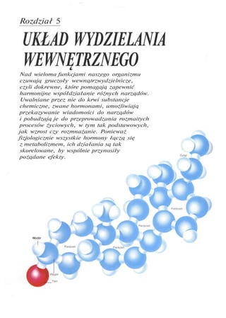 Rozdział 5
UKŁAD WYDZIELANIA
WEWNĘTRZNEGO
Nad wieloma funkcjami naszego organizmu
czuwają gruczoły wewnątrzwydzielnicze,
czyli dokrewne, które pomagają zapewnić
harmonijne współdziałanie różnych narządów.
Uwalniane przez nie do krwi substancje
chemiczne, zwane hormonami, umożliwiają
przekazywanie wiadomości do narządów
i pobudzają je do przeprowadzania rozmaitych
procesów życiowych, w tym tak podstawowych,
jak wzrost czy rozmnażanie. Ponieważ
fizjologicznie wszystkie hormony łączą się
z metabolizmem, ich działania są tak
skorelowane, by wspólnie przynosiły
pożądane efekty.
Wodór
 